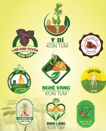 Nâng cao quản lý và phát triển các sản phẩm chủ lực đã được bảo hộ chỉ dẫn địa lý và nhãn hiệu chứng nhận trên địa bàn tỉnh Kon Tum