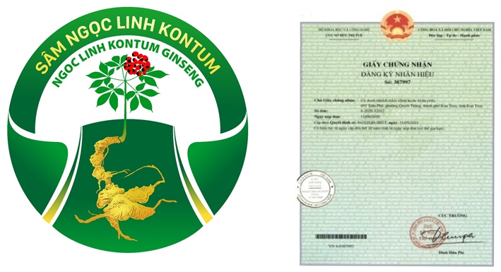 Họp Hội đồng KH&CN đánh giá nghiệm thu dự án “Đăng ký bảo hộ nhãn hiệu chứng nhận “Sâm Ngọc Linh Kon Tum”